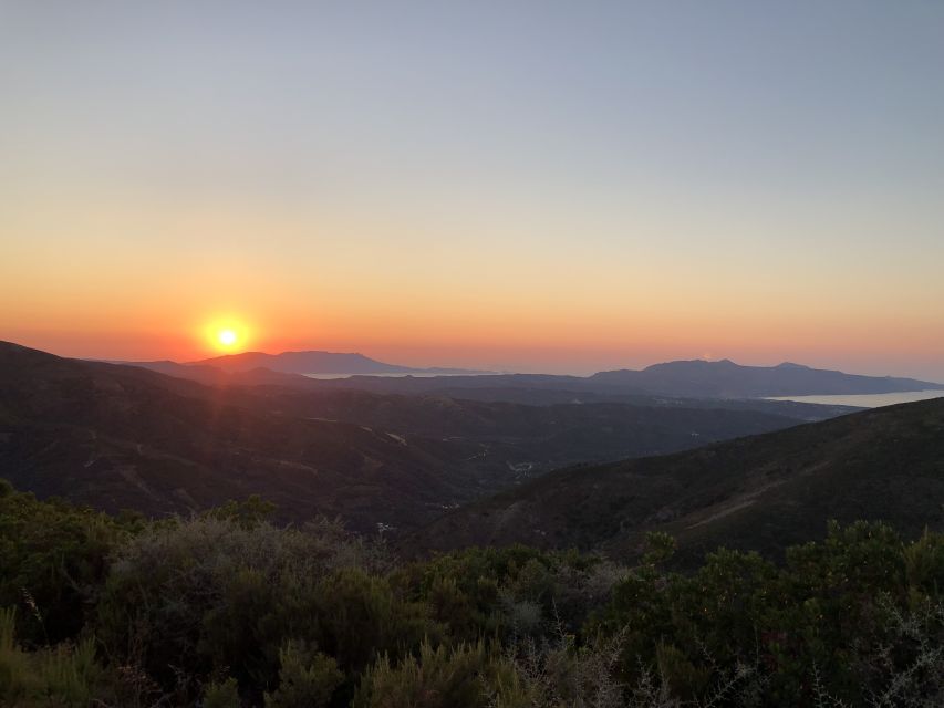 Chania 4x4 Sunset Safari Tour - Who this sunset safari is best for (and who should pass)