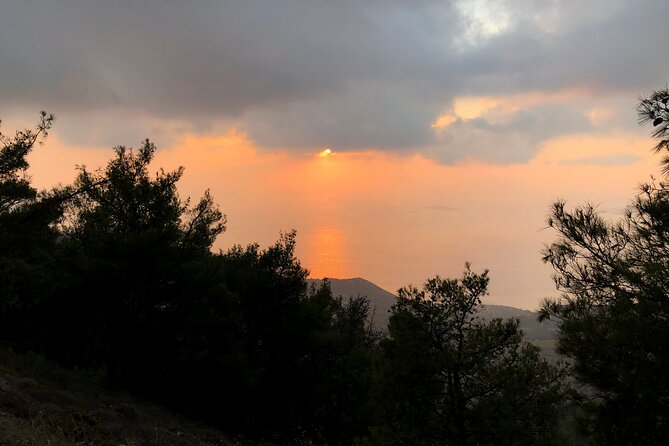 Chania 4x4 Sunset Safari Tour - The off-road route: citrus groves, dam photos, and village passes