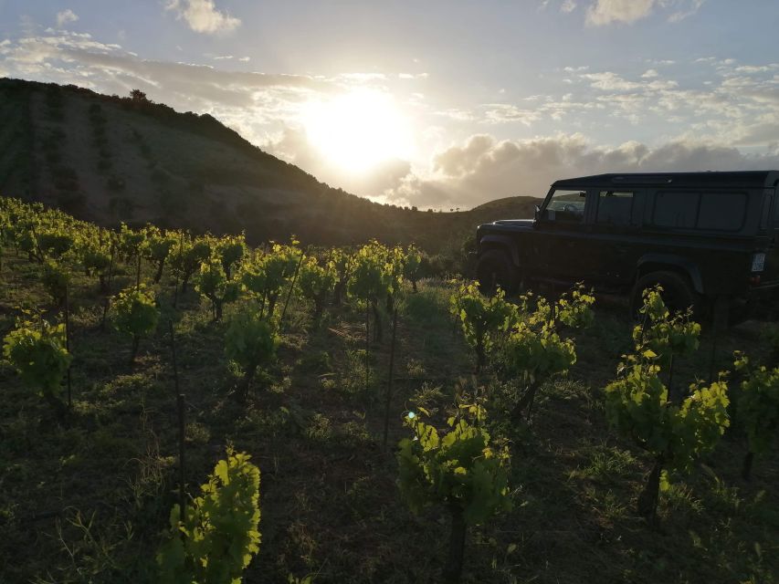Chania 4x4 Sunset Safari Tour - Guides and the little moments that shape the evening
