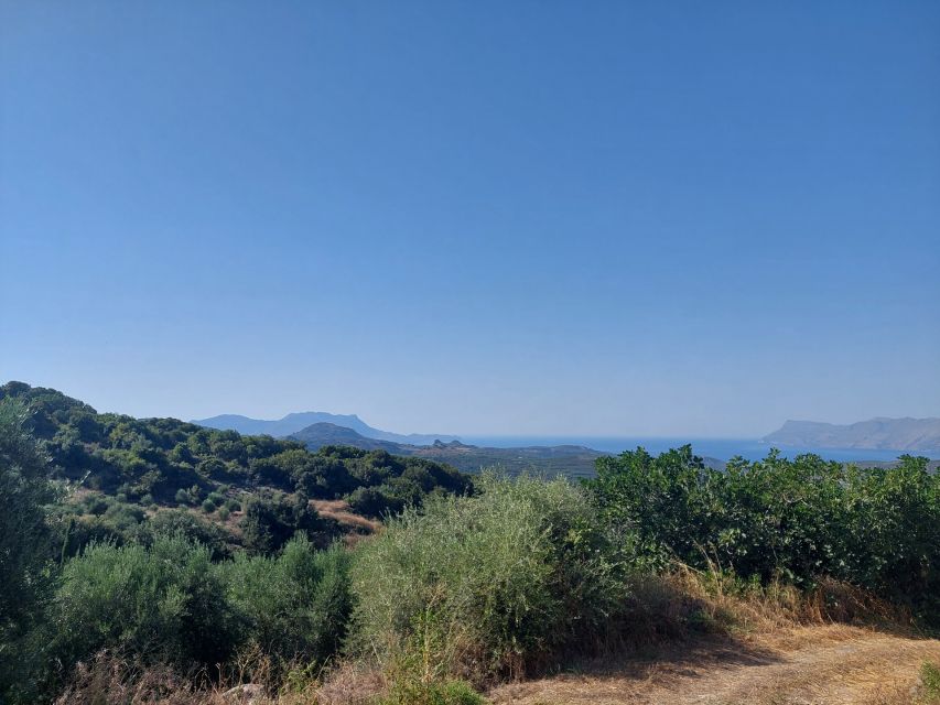 Chania: 5-Wine Tasting with Locals in Village near Kissamos - What you taste: 5 premium Cretan wines plus local pairings