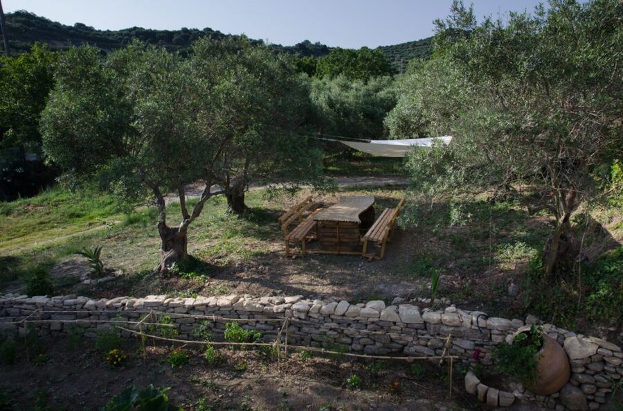 Chania: 5-Wine Tasting with Locals in Village near Kissamos - The real value: learning how small winemakers think and work