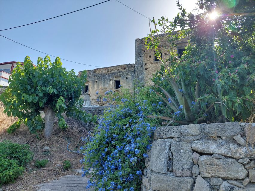 Chania: 5-Wine Tasting with Locals in Village near Kissamos - Should you book the Chania 5-Wine Tasting with Locals?