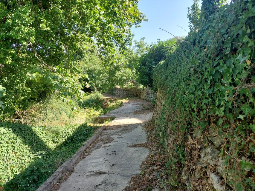 Chania: 5-Wine Tasting with Locals in Village near Kissamos - The 90-minute flow: welcome, story, and five pours
