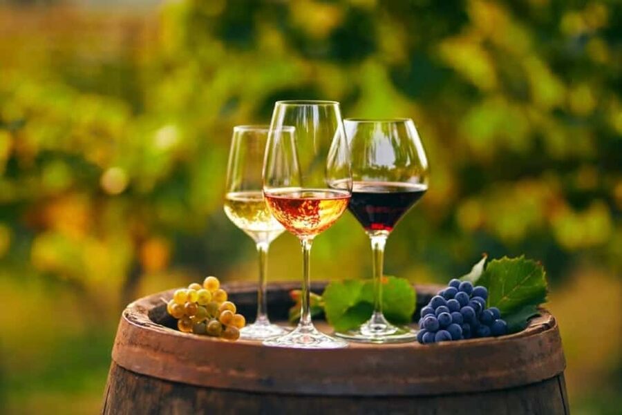 Chania Area: Food Tasting Tour with Winery Visit & Swim Stop - Pickup, Timing, and How to Stay Comfortable in the Heat