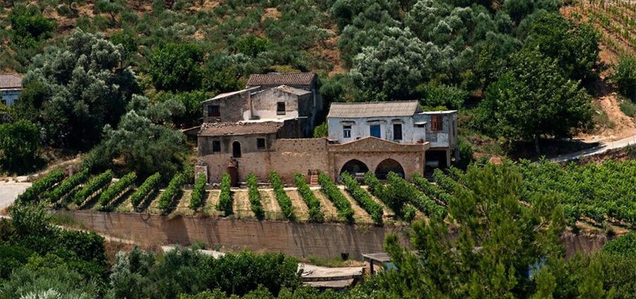 Chania: Milia Mountain Tour w/Lunch Olive Oil/Wine Tastings - Price and value: is $176 per person actually fair?
