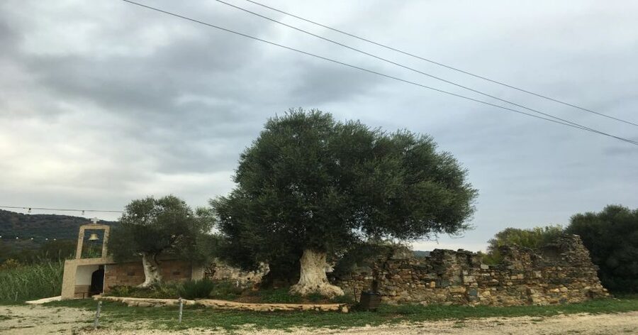 Chania Monasteries Private Tour: A Greek Orthodoxy Tribute - Meet your historian guide and why it changes what you see