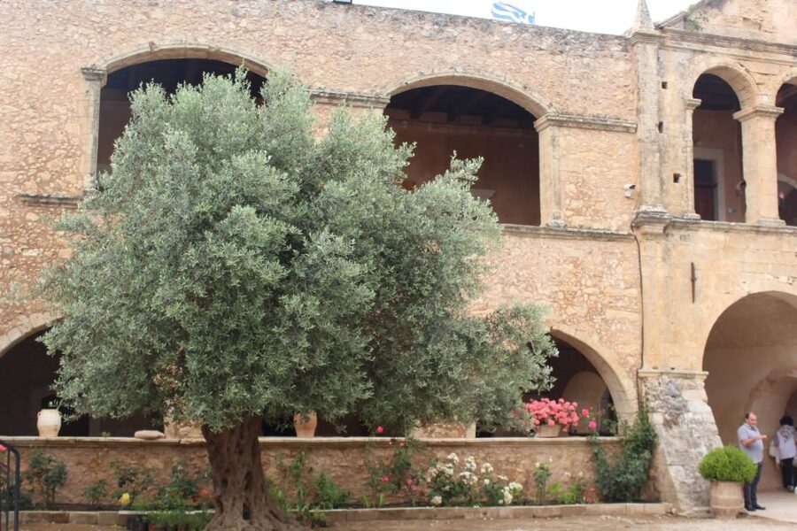 Chania Private Olive Oil Tour: Oil Tasting & Villages Tour - Chania’s Olive Country: Why This Tour Starts in the Valleys