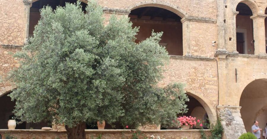 Chania Private Olive Oil Tour: Oil Tasting & Villages Tour - From Bio Factory to Medieval Mill: Seeing Oil-Making Through Time