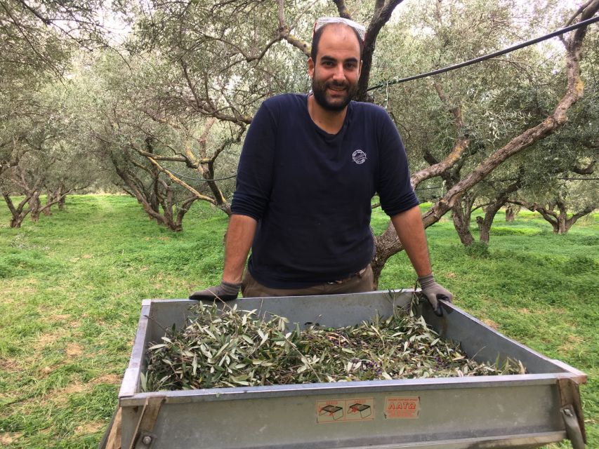 Chania Private Olive Oil Tour: Oil Tasting & Villages Tour - The Possible 3,000-Year-Old Olive Tree Stop
