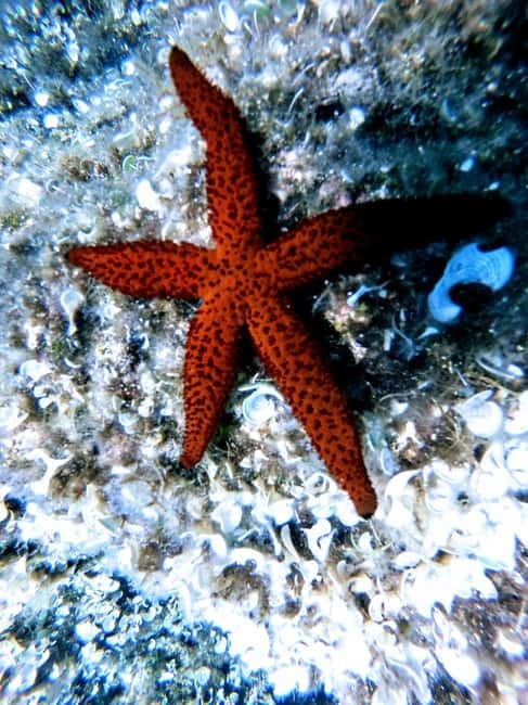 Chania: Scuba Diving for Beginners - Price and value: what you pay for (and what you don’t)