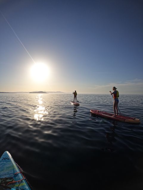 Chania: Stand-up Paddleboard Coastal Sunset Experience - The 2.5-hour flow: from first paddle to sunset glow