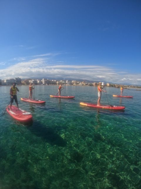 Chania: Stand-up Paddleboard Tour to Lazareta Island - Snorkeling for fish (and the sea turtle chance)