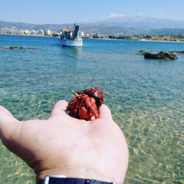 Chania Town: Glass-Bottom Boat Cruise to Thodorou & Lazareta - Thodorou Island (Goat Island): Kri Kri Goats and the Plane Wreck