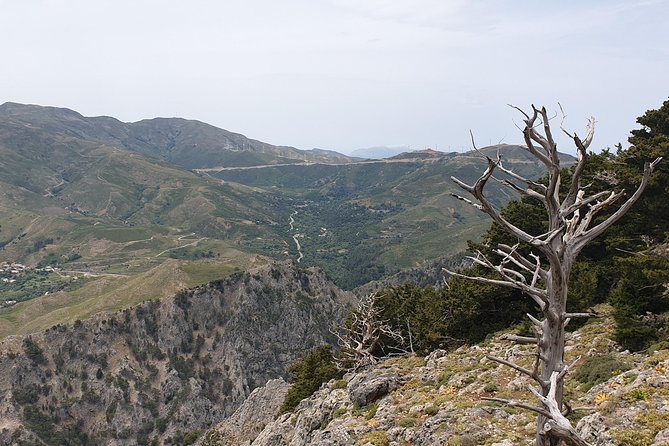 Cretan Safari – 4x4 Adventure to Preveli Beach with Lunch - Pickup From Rethymno and a 9:00 Start That Saves You Time