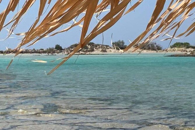 Crete: Elafonisi – 4 hours in the beach - Quick hits: what makes this Elafonisi trip work