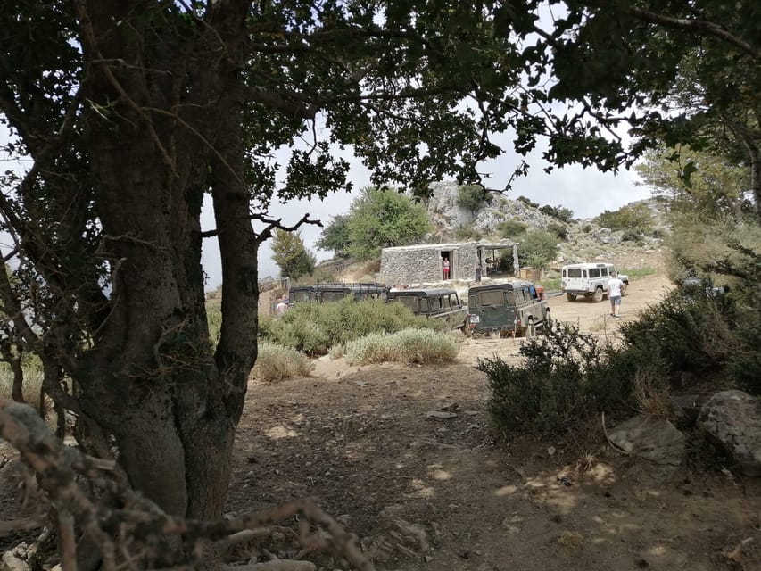 Crete: White Mountains Preserve Day Tour - Mitato at 1350m: shepherding, goats, and Graviera connections