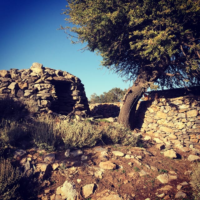 Crete: White Mountains Preserve Day Tour - How the morning pickup sets the pace (and why it matters)