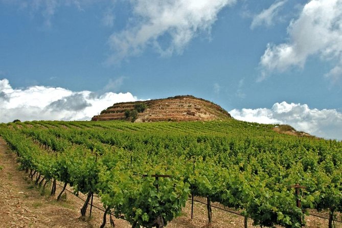 Crete Wine and Olive Oil Tour - Key takeaways before you go