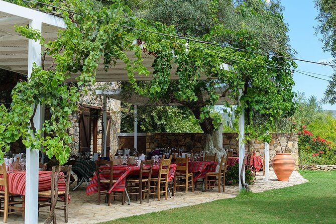 Crete Wine and Olive Oil Tour - Who This Tour Suits Best (and Who Might Want to Skip)