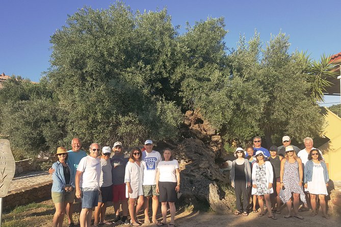 Crete Wine and Olive Oil Tour - A Plain-English Take: Should You Book the Crete Wine and Olive Oil Tour?