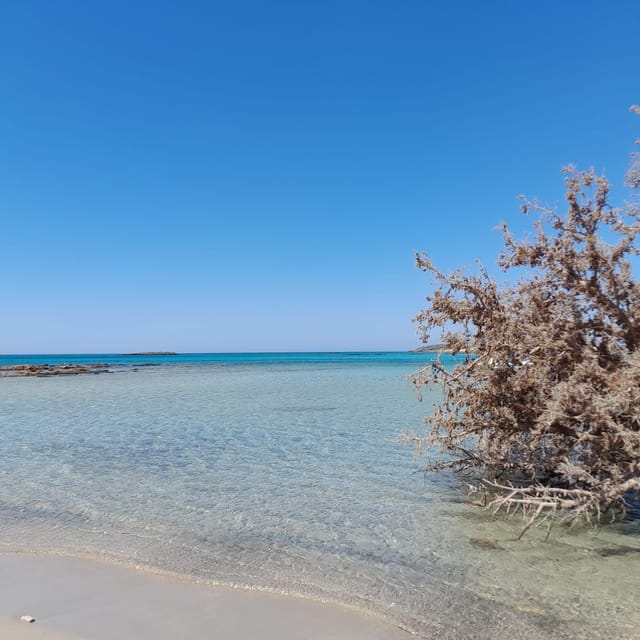 Elafonissi: Private Beach Day Trip with SUP - Walking the dunes and spotting rare flowers (without turning it into a hike)