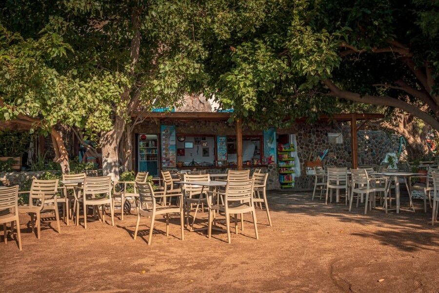 From Chania: Day Trip to Preveli Beach & Damnoni Beach - Key highlights worth planning around