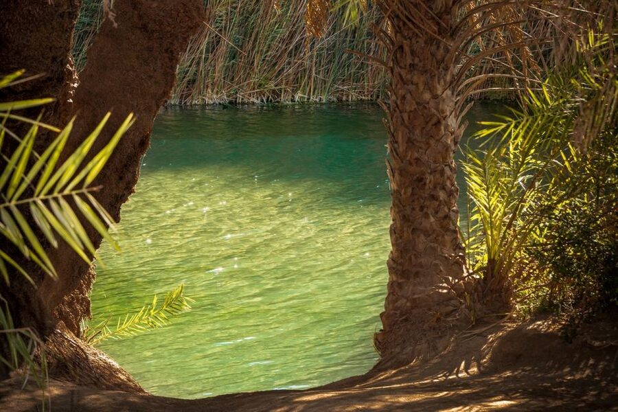 From Chania: Day Trip to Preveli Beach & Damnoni Beach - The small stuff that decides whether your day feels smooth