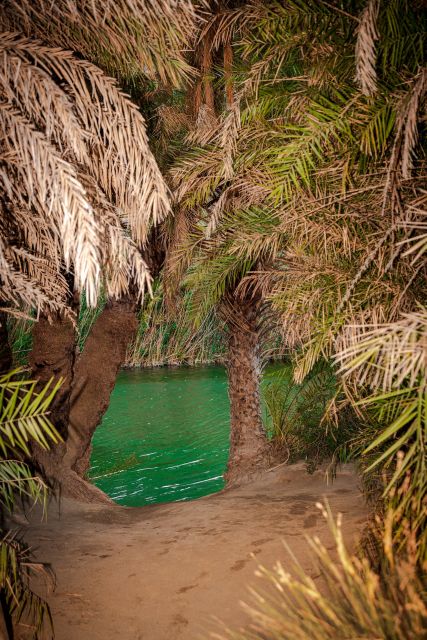 From Chania: Day Trip to Preveli Beach & Damnoni Beach - Plakias stop: lunch options and a short window to do what you want