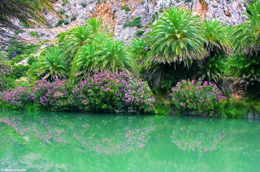 From Chania: Day Trip to Preveli Palm Beach - How the 10-hour route really feels from Chania