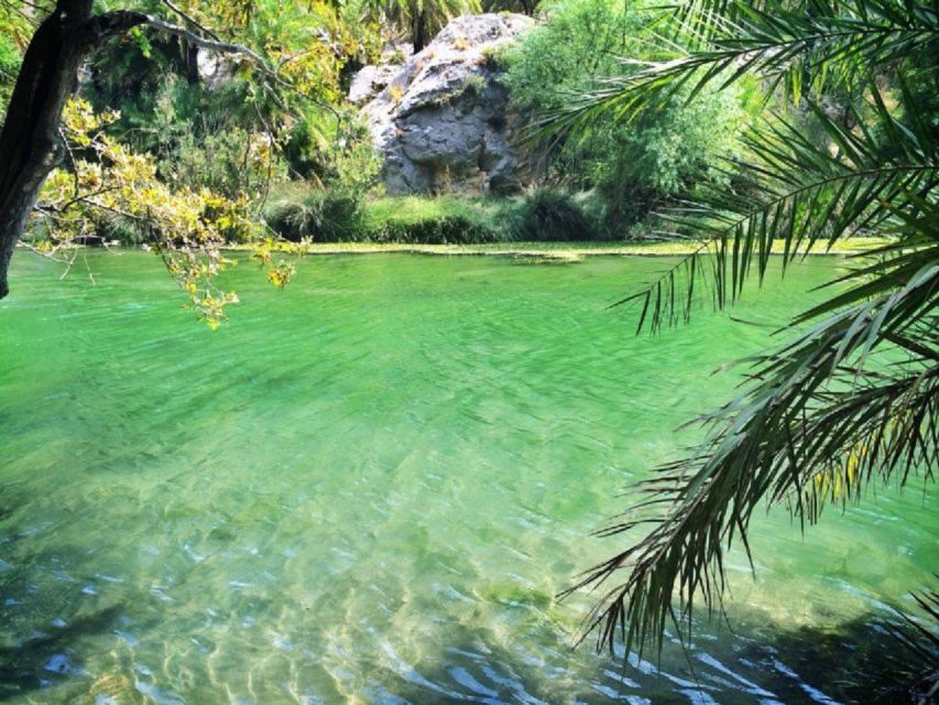 From Chania: Day Trip to Preveli Palm Beach - Should you book this Chania to Preveli palm beach day trip?