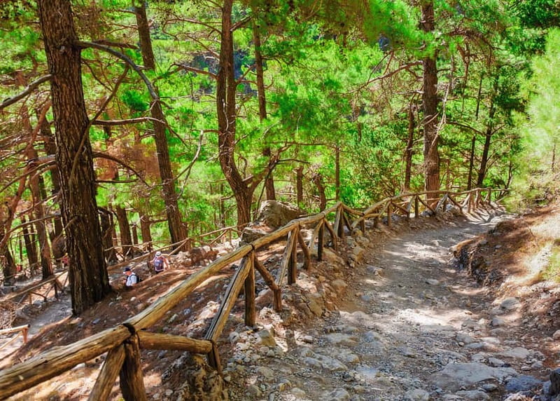 From Chania: Full-Day Samaria Gorge Trek Excursion & Guide - Who should book, and who should think twice