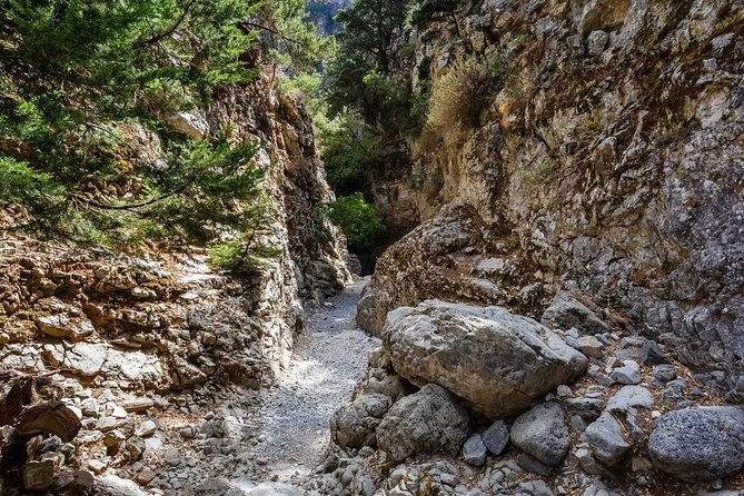 From Chania: Imbros Gorge and Sfakia Experience Hike & Swim - Rocky downhill reality check: shoes, knees, and keeping the walk enjoyable