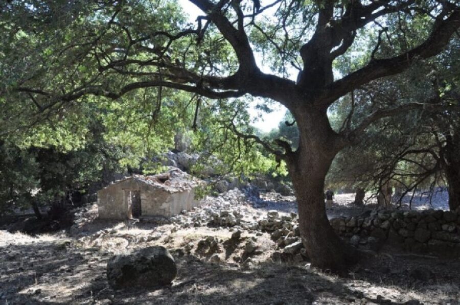 From Chania: Imbros Gorge Guided Hike and Village Visit - Key points I’d plan around