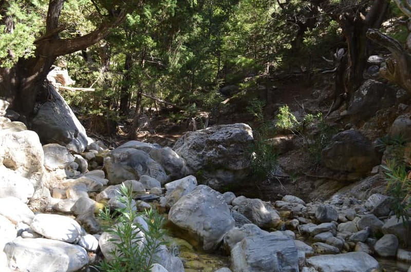 From Chania/Kalyves: Full-Day Samaria Gorge Hiking Day Trip - Who Should Book This (and Who Should Skip It)