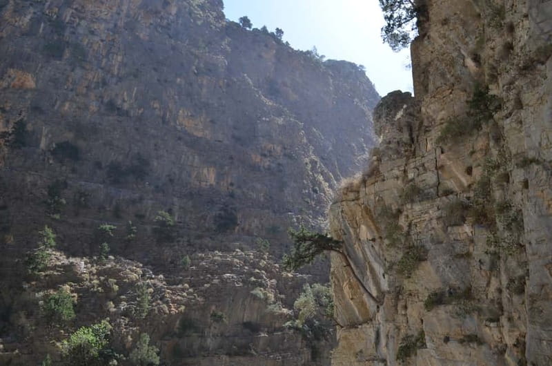 From Chania/Kalyves: Full-Day Samaria Gorge Hiking Day Trip - Why This Samaria Gorge Trip Beats DIY for Most People