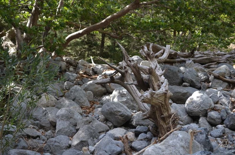 From Chania/Kalyves: Full-Day Samaria Gorge Hiking Day Trip - Photo Stops and Breaks: How to Enjoy It Without Burning Out