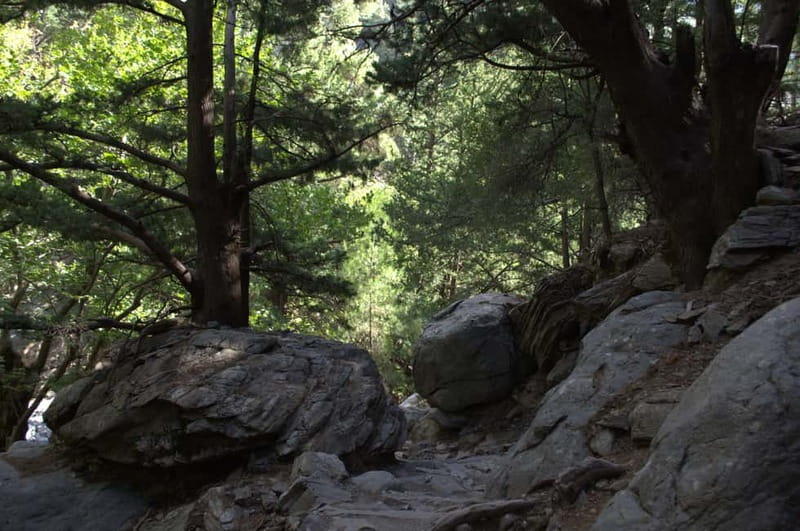 From Chania/Kalyves: Full-Day Samaria Gorge Hiking Day Trip - Price and Value: What $32.75 Really Buys You