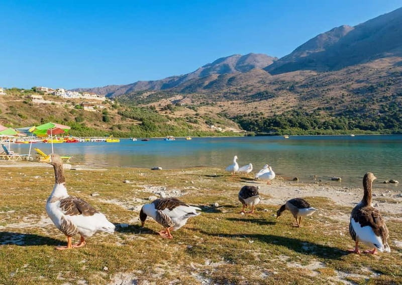 From Chania: Lake Kournas & Argiroupoli Springs Guided Tour - Key Highlights at a Glance