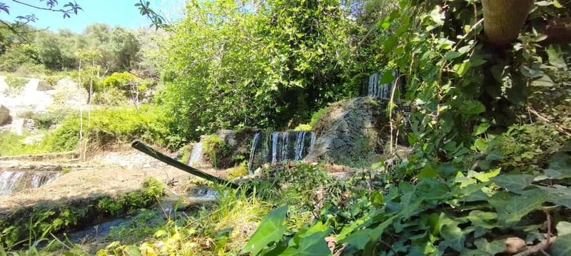From Chania: Lake Kournas & Argiroupoli Springs Guided Tour - Who This Chania Nature Day Trip Suits Best