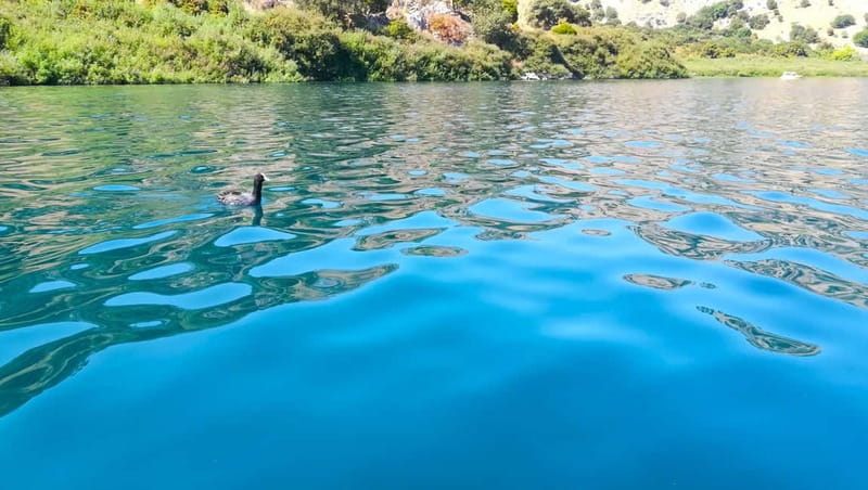 From Chania: Lake Kournas & Argiroupoli Springs Guided Tour - Argiroupoli Springs: Fresh Water That Actually Feels Like the Main Event