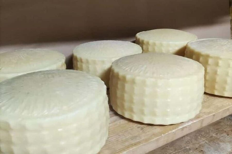 From Chania: Olive Oil, Wine, Cheese & Honey Tasting Tour - Key Highlights You’ll Care About