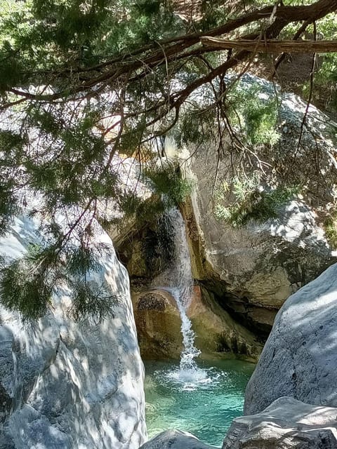 From Chania: Samaria Gorge with Professional Hiking Guide - Entering Samaria Gorge: Iron Gates, pine shade, and Kri-Kri odds