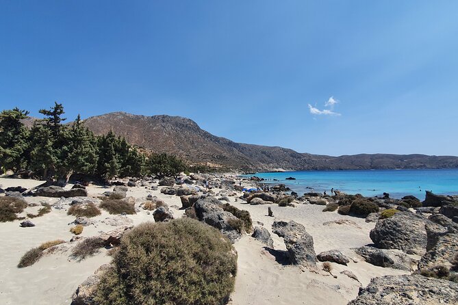 Full-Day Private Tour in Elafonisi Pink Beach - Sfinari for lunch: fresh fish stop with a smart route option