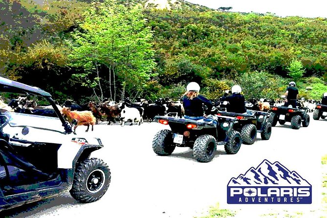 Half-Day Rethymno Quad Safari - Stop 2: Prassano Gorge and the bird-sky moment