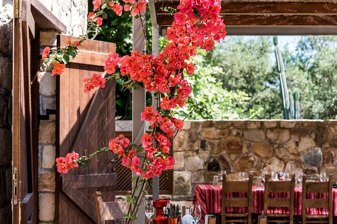 Manousakis Winery Shuttle Service Tour and Taste - Who should book this tour (and who should think twice)