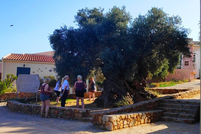Monastery - Ancient Olive tree & Museum-Cretan Brewery Private Tour from Chania - The guide experience: Christine and Thanasis set the tone