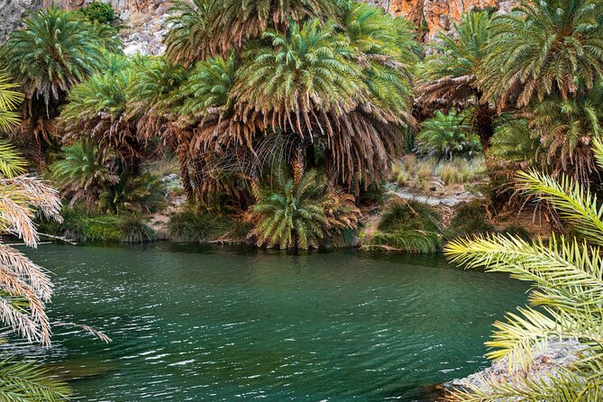 Preveli Beach and Plakias Full-Day Trip From Rethymno - Kourtaliotis Gorge Walk: Springs, Waterfalls, and the Step Count