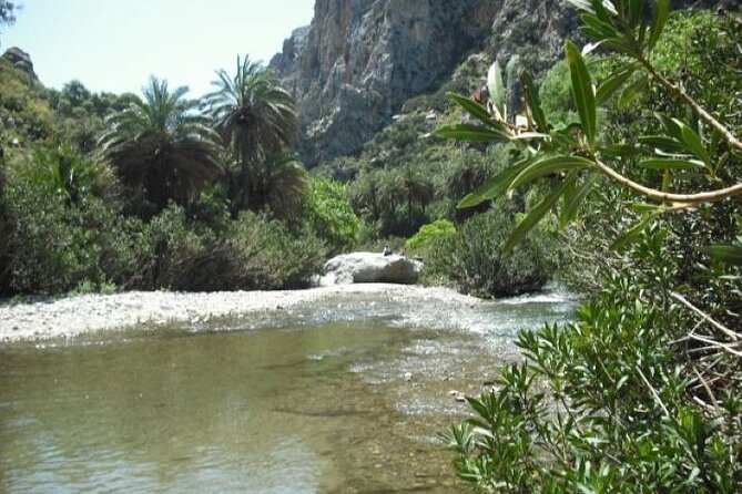 Preveli palm Beach & Damnoni Excursion - The Boat Hop From Damnoni to Preveli (and the Real Reason It Matters)