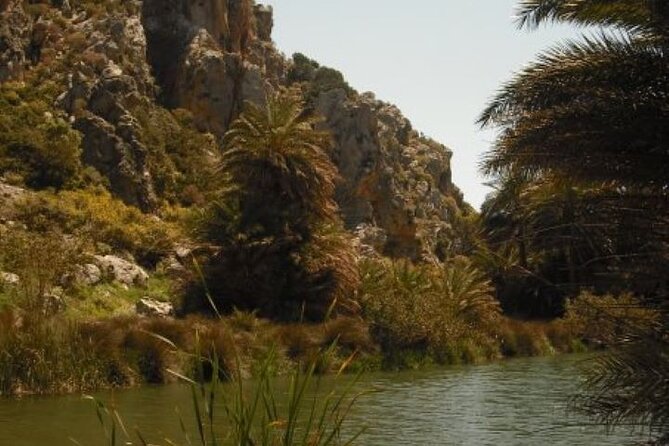 Preveli palm Beach & Damnoni Excursion - Preveli Palm Beach: 3 Hours Under Palms by the River