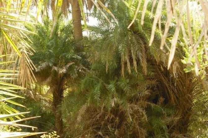 Preveli palm Beach & Damnoni Excursion - Price and Value: What $36.12 Gets You (and What It Doesn’t)